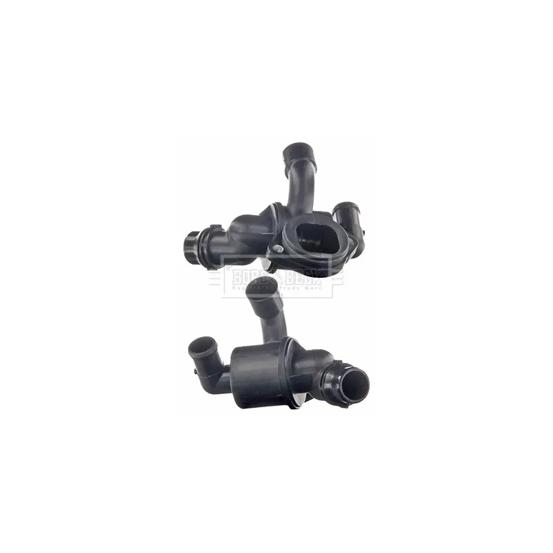 Thermostat d'eau BORG & BECK BBT106