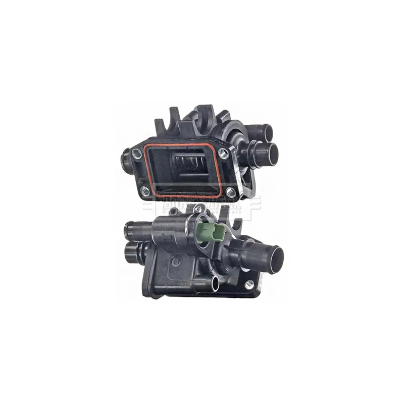 Thermostat d'eau BORG & BECK BBT109