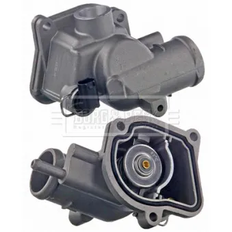 Thermostat d'eau BORG & BECK BBT119