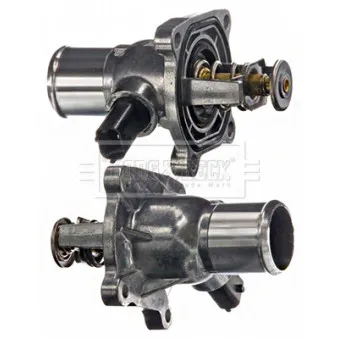 Thermostat d'eau BORG & BECK BBT132