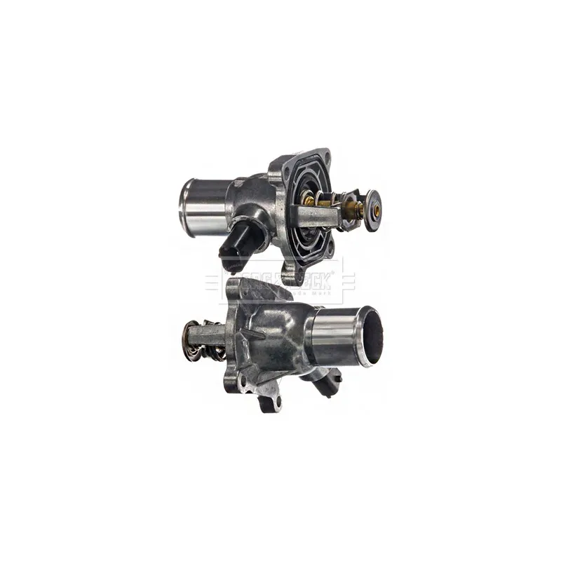 Thermostat d'eau BORG & BECK BBT132