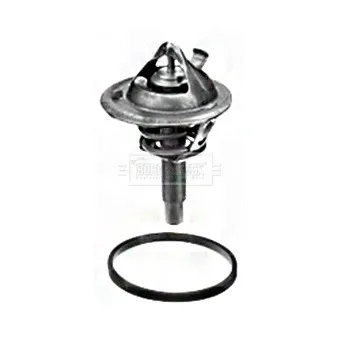Thermostat d'eau BORG & BECK BBT137