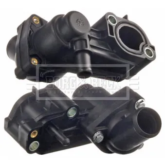 Thermostat d'eau BORG & BECK BBT145