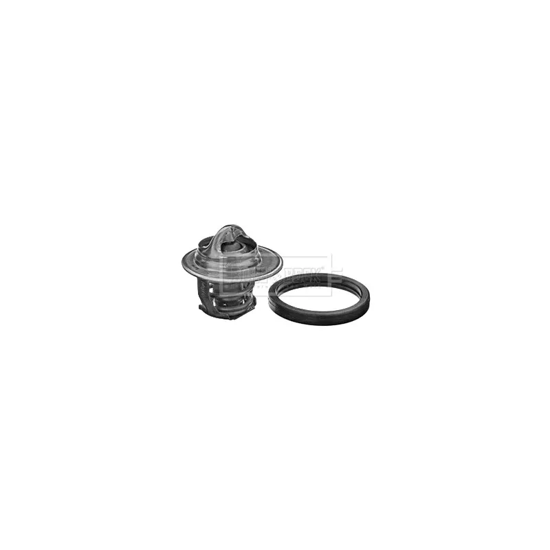 Thermostat d'eau BORG & BECK BBT157
