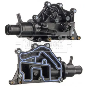 Thermostat d'eau BORG & BECK BBT158