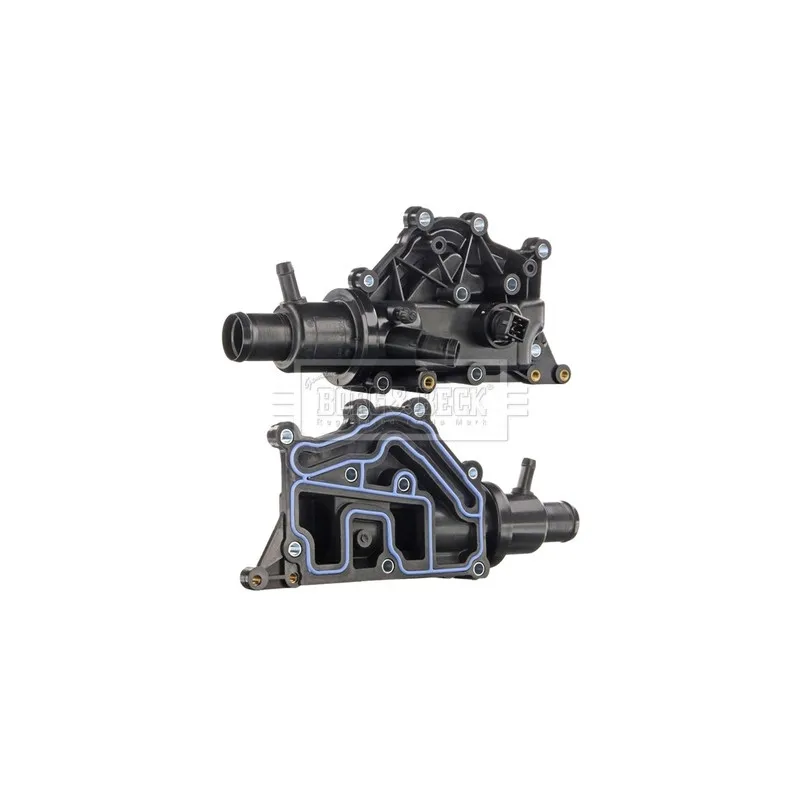 Thermostat d'eau BORG & BECK BBT158