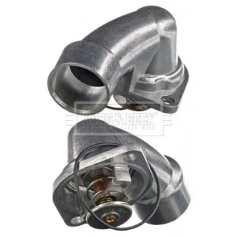 Thermostat d'eau BORG & BECK BBT164