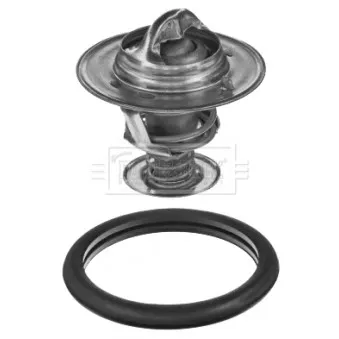 Thermostat d'eau BORG & BECK BBT169