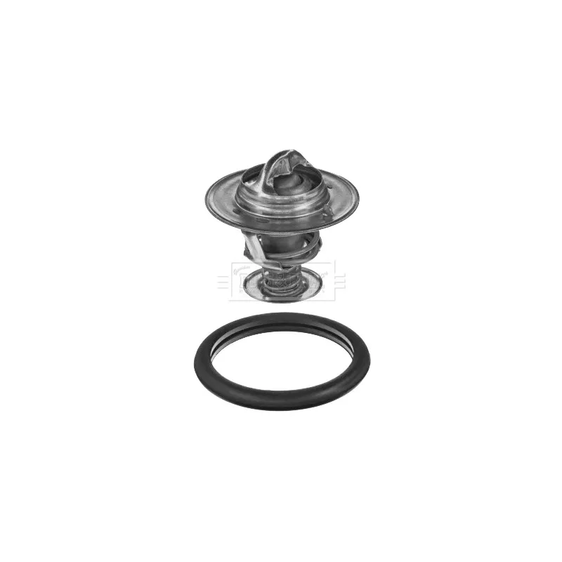 Thermostat d'eau BORG & BECK BBT169