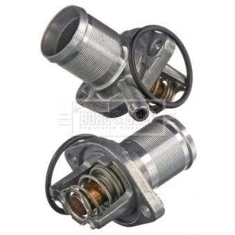 Thermostat d'eau BORG & BECK BBT170