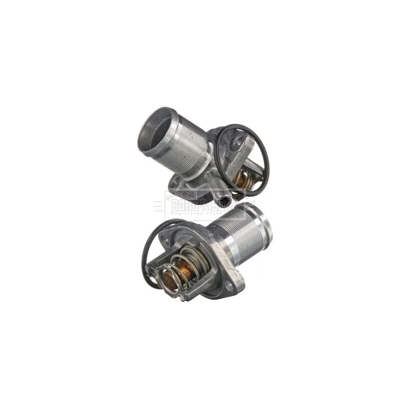 Thermostat d'eau BORG & BECK BBT170
