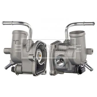 Thermostat d'eau BORG & BECK BBT172