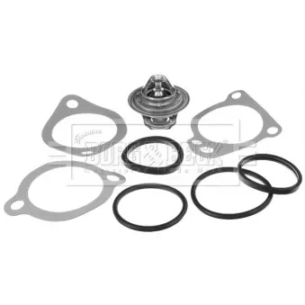 Thermostat d'eau BORG & BECK BBT175
