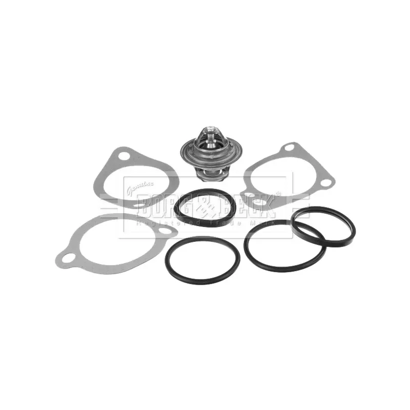 Thermostat d'eau BORG & BECK BBT175