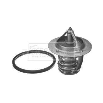 Thermostat d'eau BORG & BECK BBT179