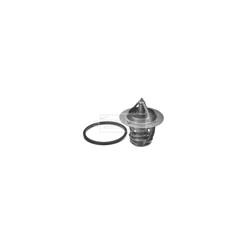 Thermostat d'eau BORG & BECK BBT179