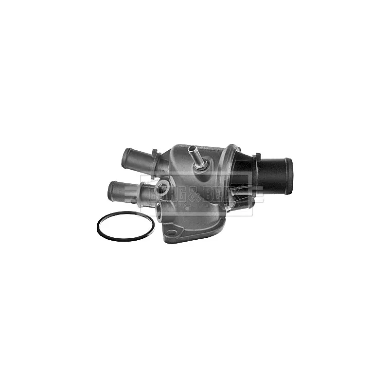 Thermostat d'eau BORG & BECK BBT181