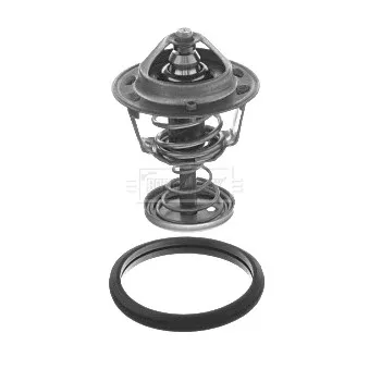 Thermostat d'eau BORG & BECK BBT183