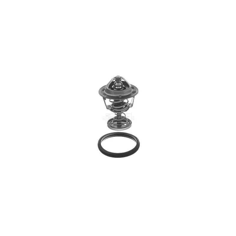 Thermostat d'eau BORG & BECK BBT183