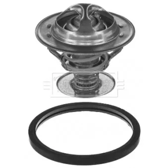 Thermostat d'eau BORG & BECK BBT189