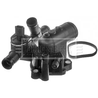 Thermostat d'eau BORG & BECK BBT191