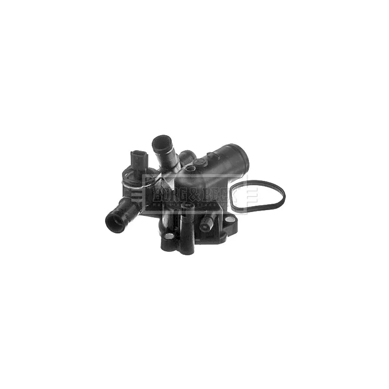 Thermostat d'eau BORG & BECK BBT191