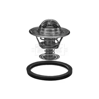Thermostat d'eau BORG & BECK BBT198