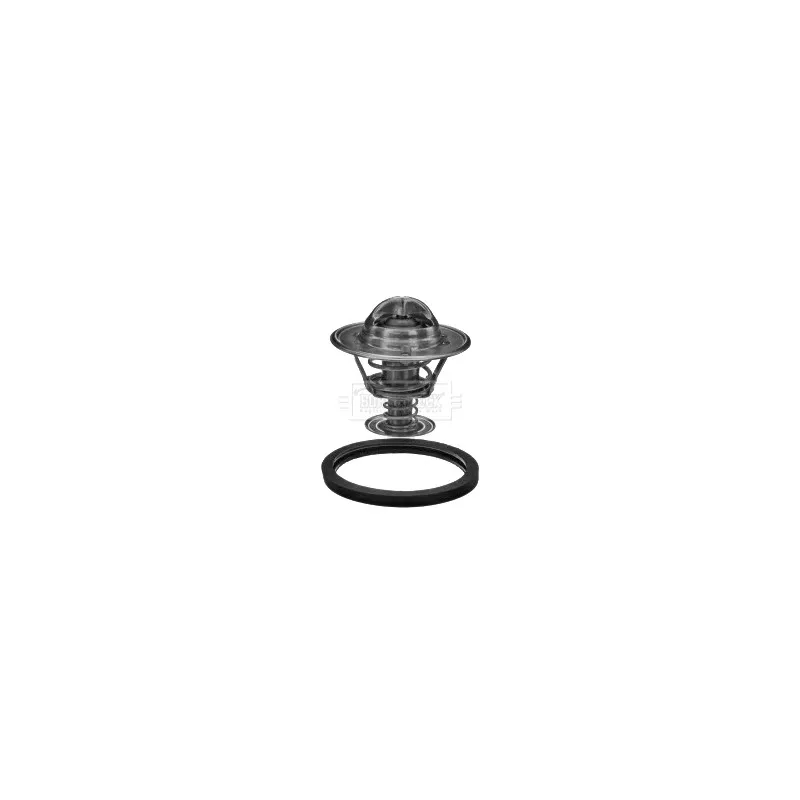 Thermostat d'eau BORG & BECK BBT198