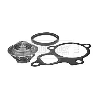 Thermostat d'eau BORG & BECK BBT199