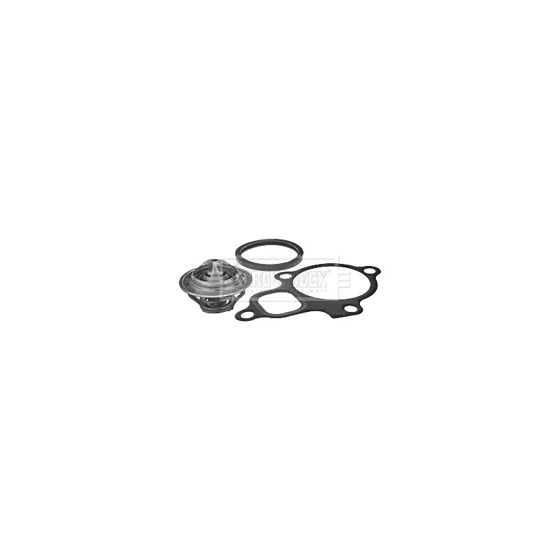 Thermostat d'eau BORG & BECK BBT199