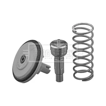Thermostat d'eau BORG & BECK BBT203