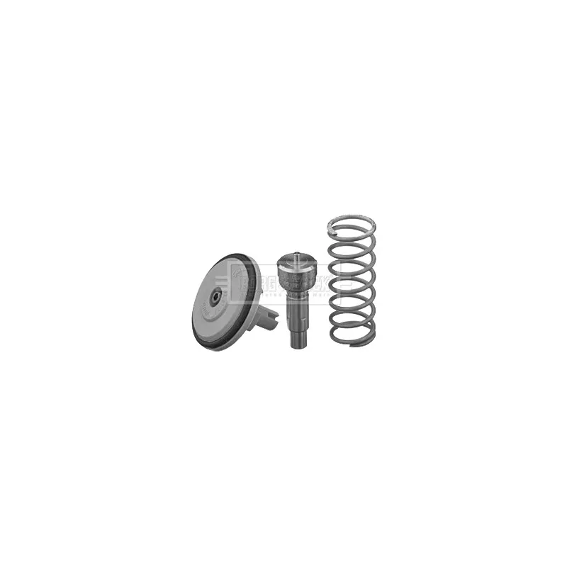 Thermostat d'eau BORG & BECK BBT203