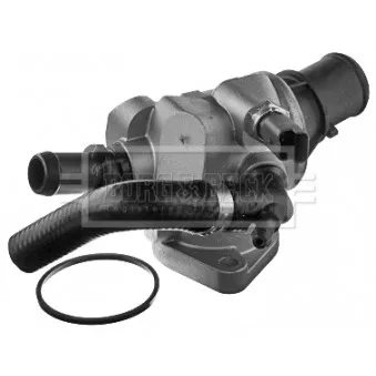 Thermostat d'eau BORG & BECK BBT206