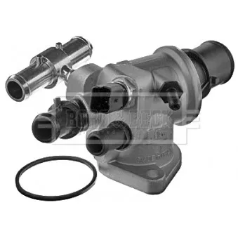 Thermostat d'eau BORG & BECK BBT209