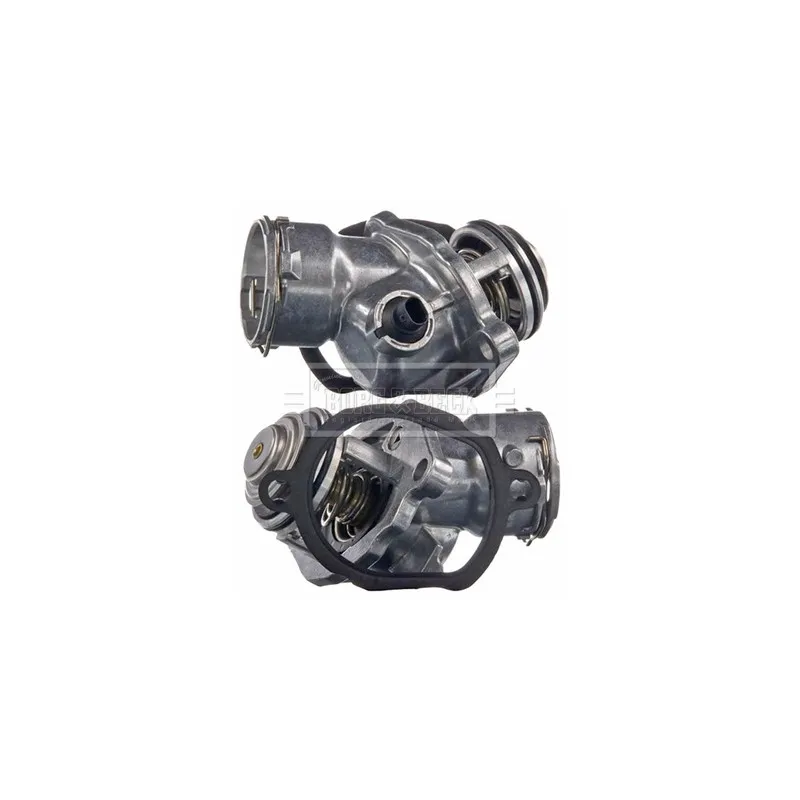 Thermostat d'eau BORG & BECK BBT212