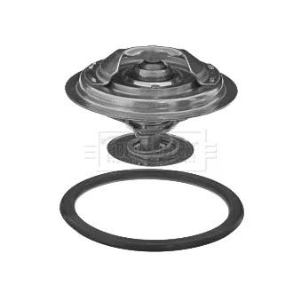Thermostat d'eau BORG & BECK BBT218