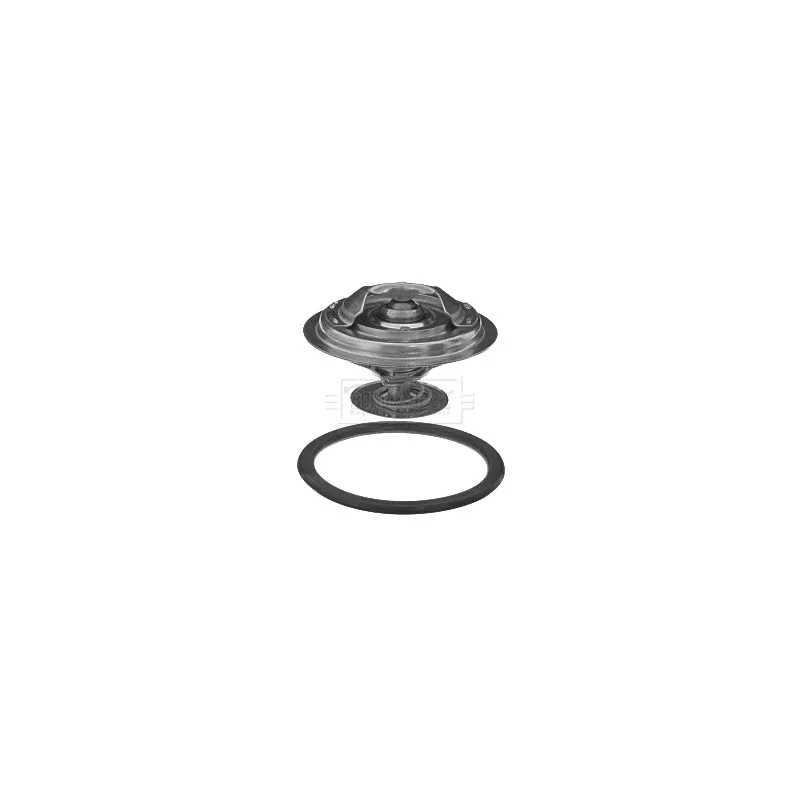 Thermostat d'eau BORG & BECK BBT218