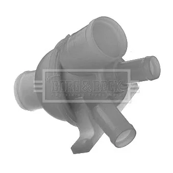 Thermostat d'eau BORG & BECK BBT220