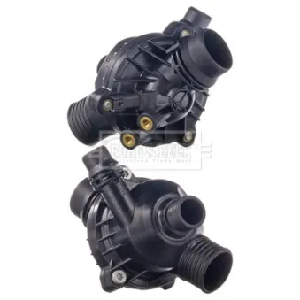 Thermostat d'eau BORG & BECK BBT221