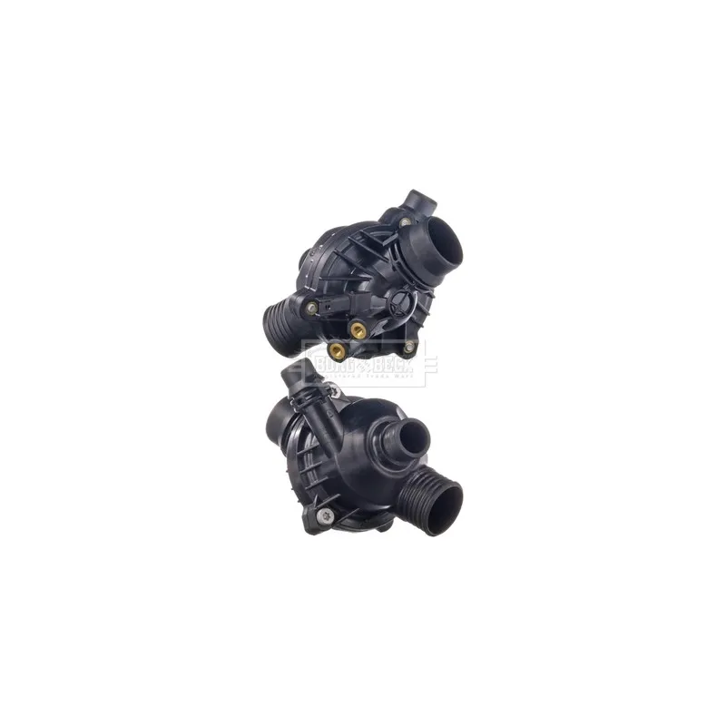 Thermostat d'eau BORG & BECK BBT221