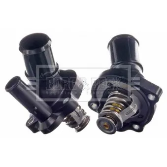 Thermostat d'eau BORG & BECK BBT233
