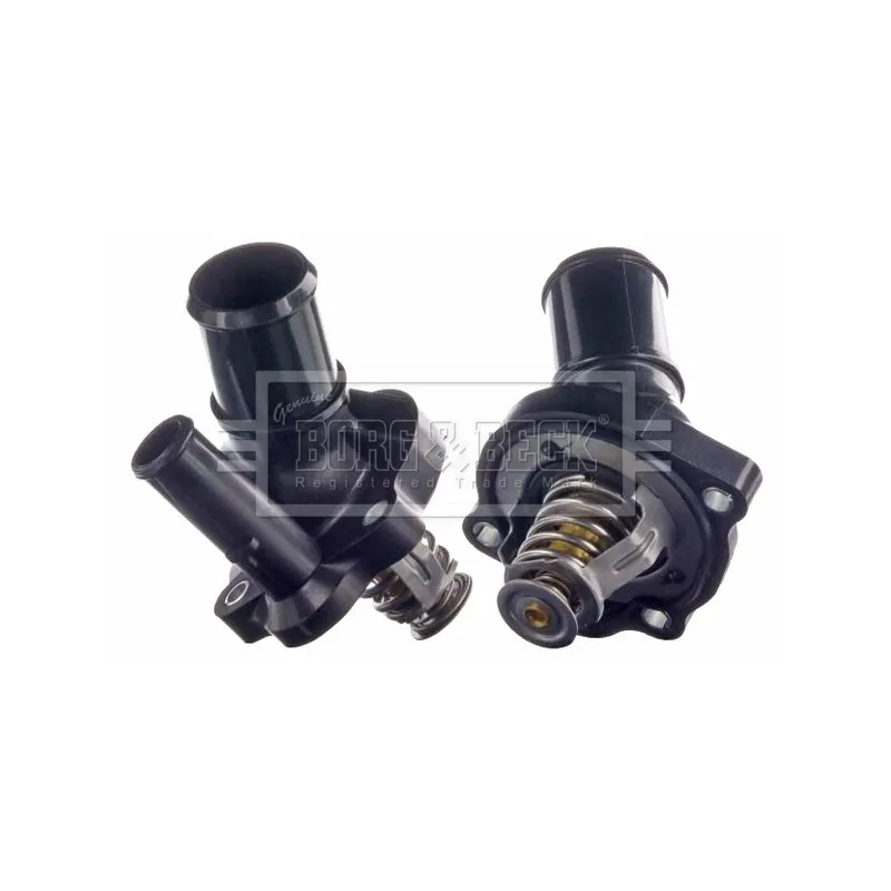 Thermostat d'eau BORG & BECK BBT233