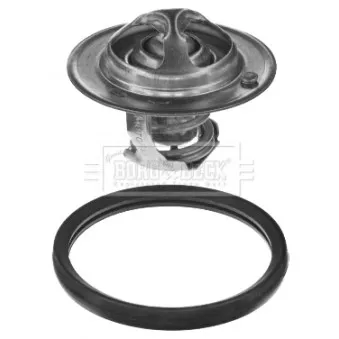 Thermostat d'eau BORG & BECK BBT237