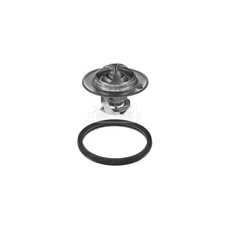 Thermostat d'eau BORG & BECK BBT237