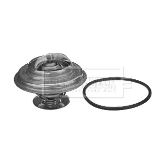 Thermostat d'eau BORG & BECK BBT239