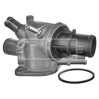 Thermostat d'eau BORG & BECK BBT243