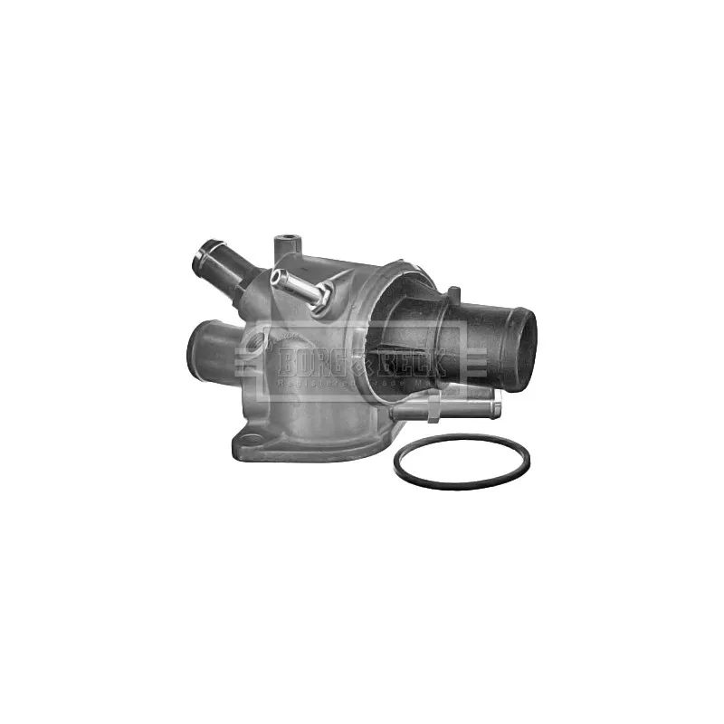Thermostat d'eau BORG & BECK BBT243