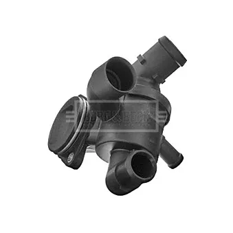 Thermostat d'eau BORG & BECK BBT244