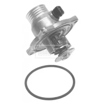 Thermostat d'eau BORG & BECK BBT245