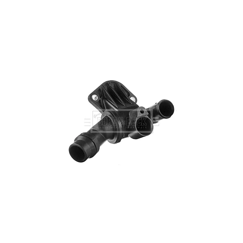 Thermostat d'eau BORG & BECK BBT249